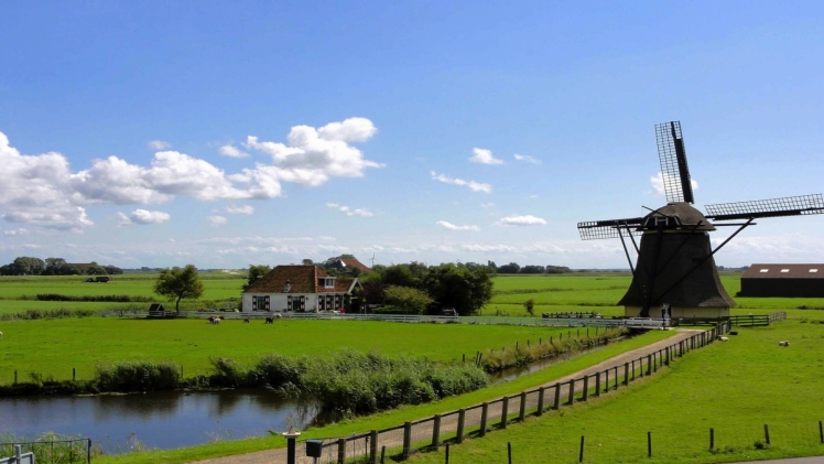 How moving to the Netherlands will change your life for good?