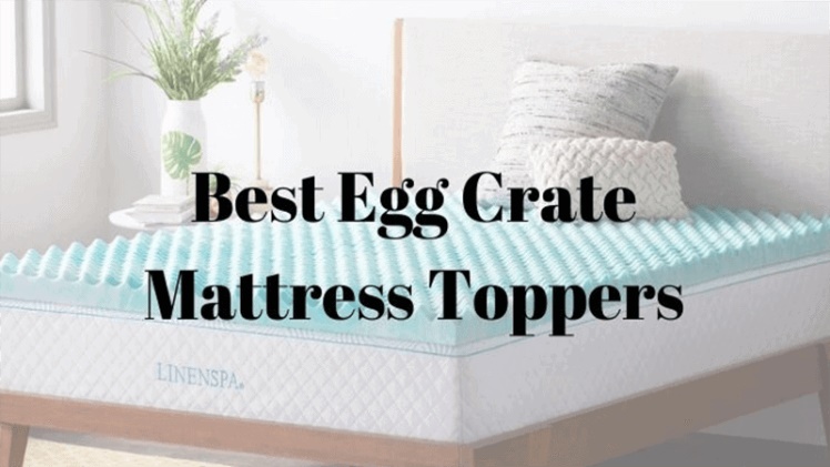 Egg crate vs memory foam Mattress Topper Comparison 2021
