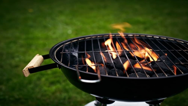 What Are the Different Types of Grills That Exist Today?